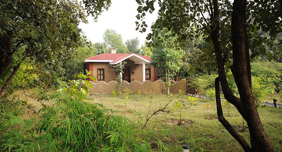 Tom's Lodge And Jungle Spa, Bandhavgarh 4